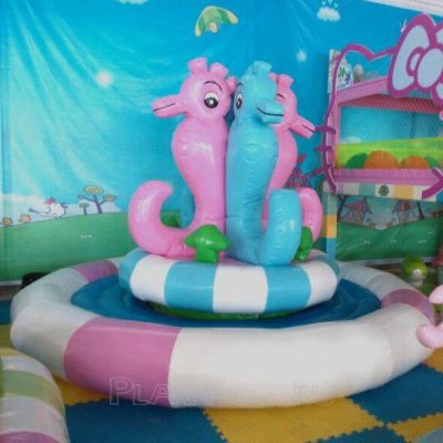 Rotating Sea Horse /Морской конёк